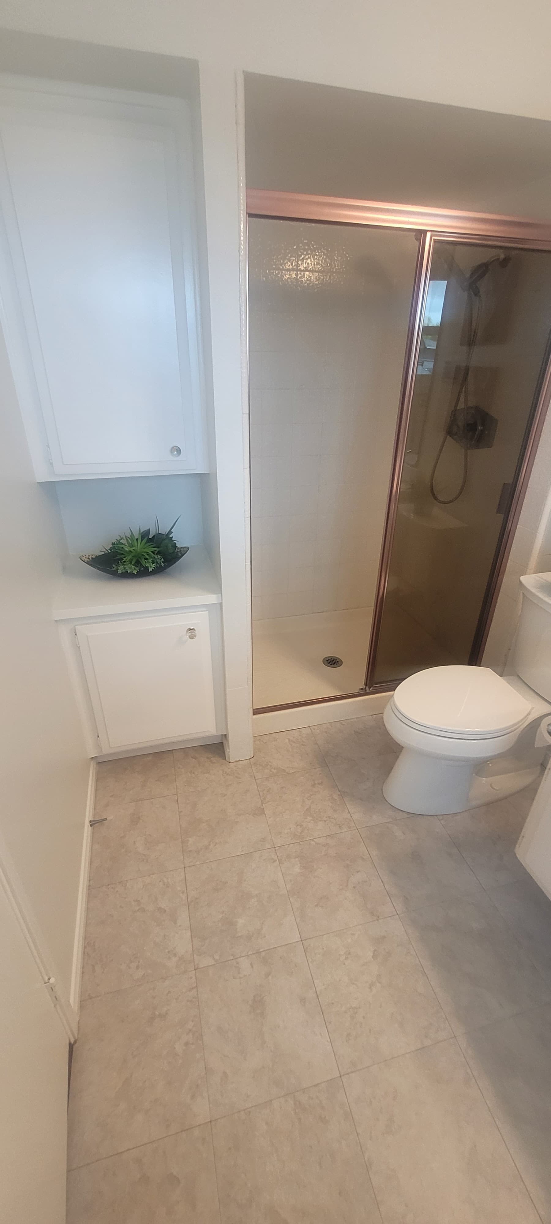 24622 Dardenia photo 2