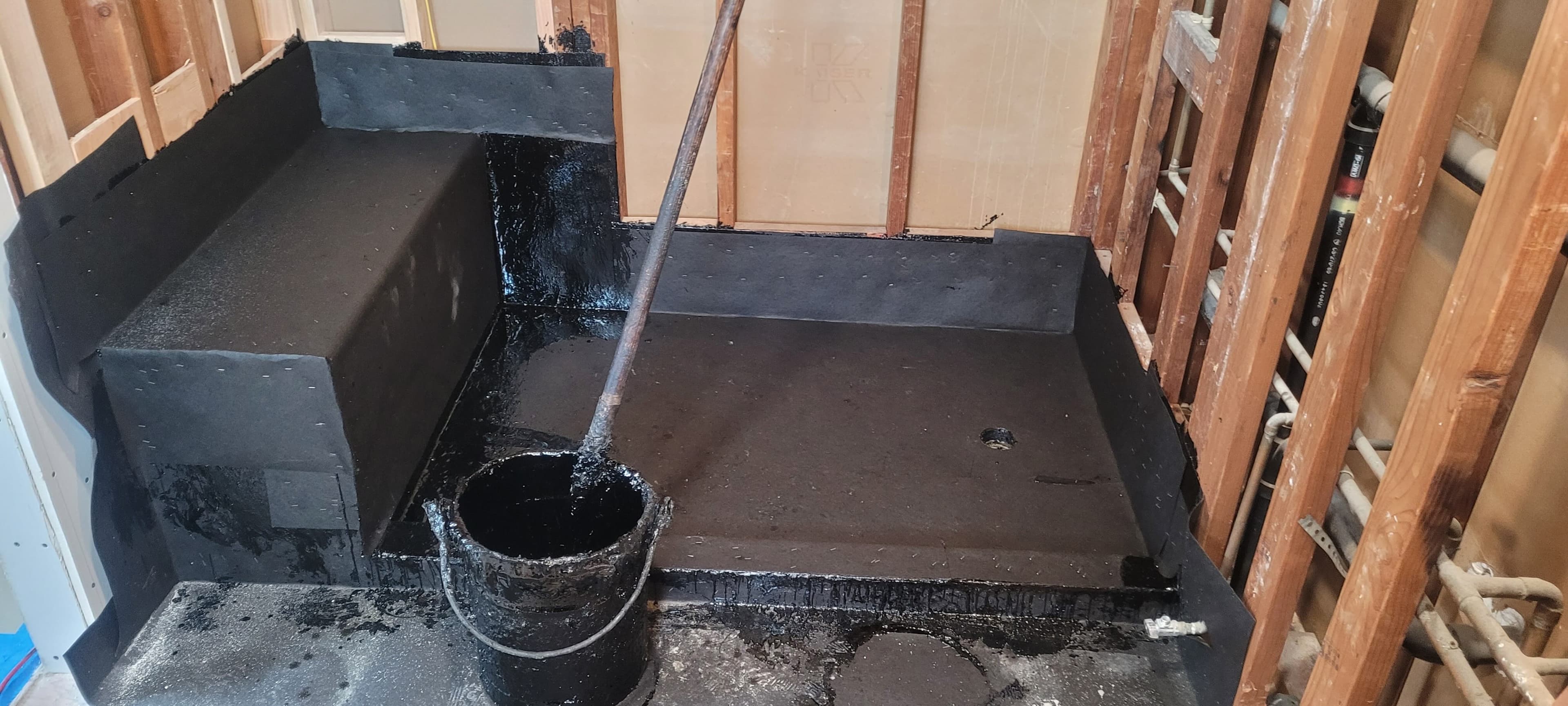 24622 Dardenia photo 3